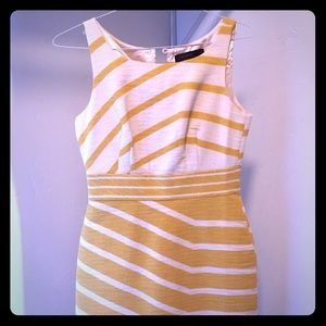 Mustard Stripe Dress from The Limited